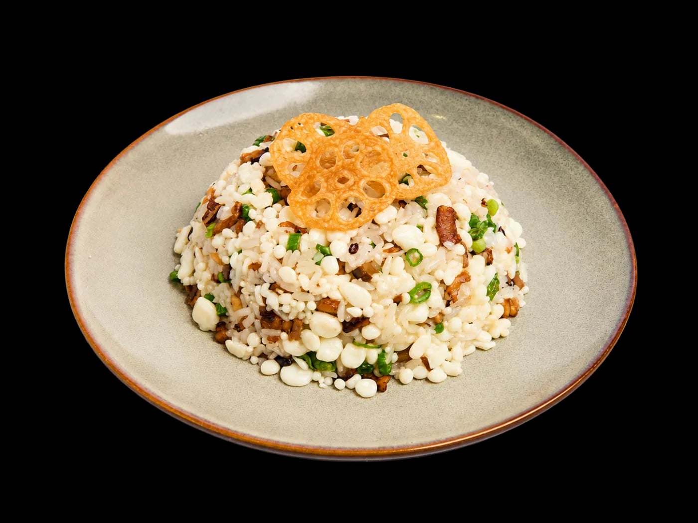 Wild Mushroom Fried Rice