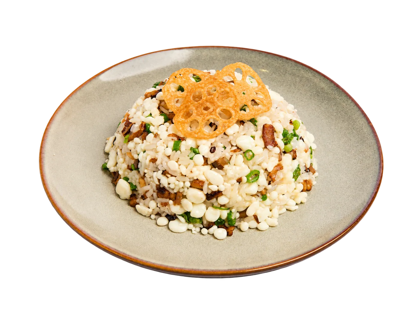 Wild Mushroom Fried Rice